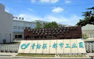 尋訪青島9大國棉廠 見證昔日輝煌 如今建起高樓大廈 產業園