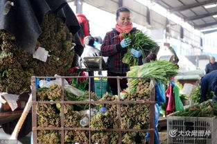 濟(jì)南憑雙證才能賣(mài)韭菜 出問(wèn)題直接找源頭，食用農(nóng)產(chǎn)品批發(fā)市場(chǎng)嚴(yán)把安全關(guān)